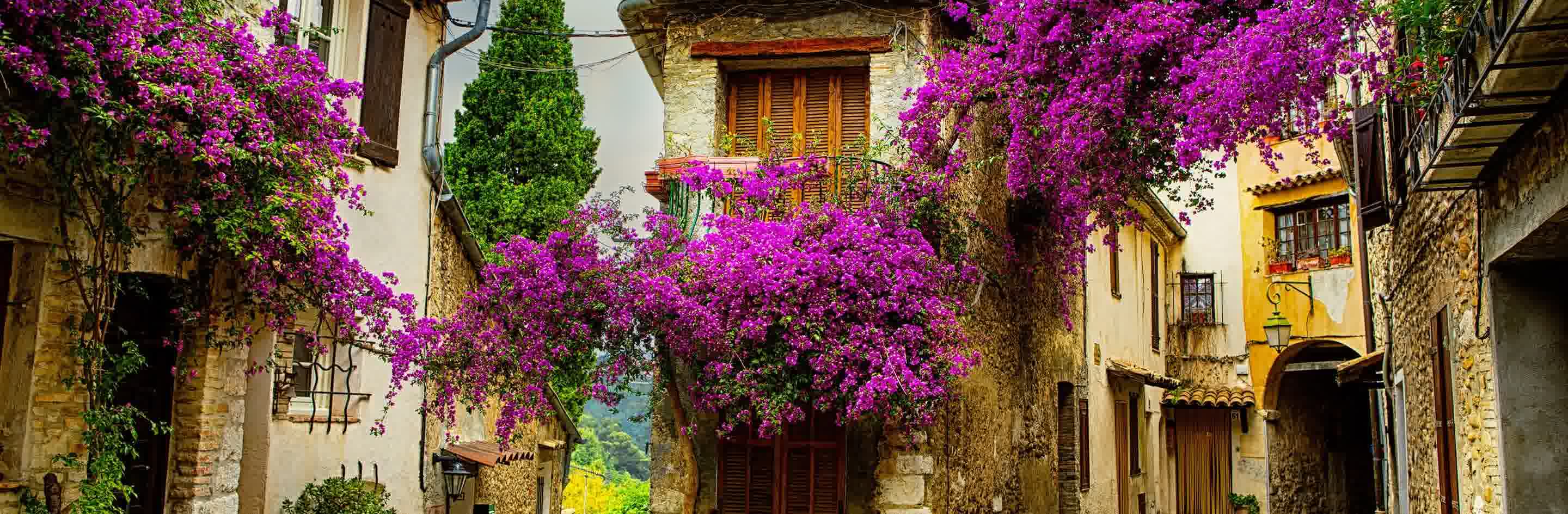 Colors of Provence 2026