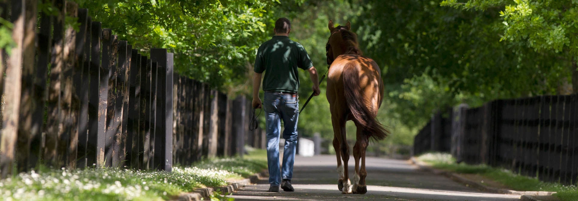 Irish National Stud