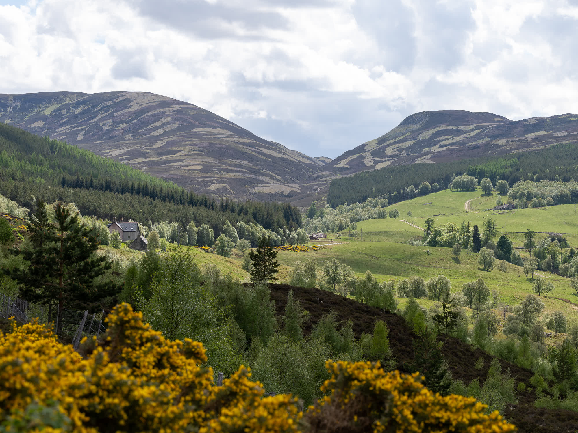 Cairngorms National Park